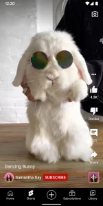 YouTube Premium 4