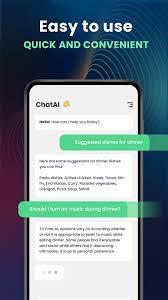 Chatbot 5